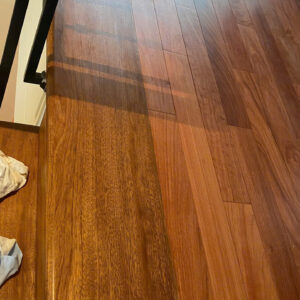 16044098667247087851