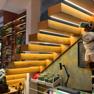 700bff03b8493917605819